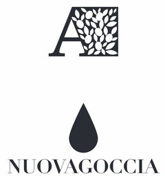 A NUOVAGOCCIA