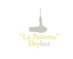 "LA PEINETA" DRYBAR