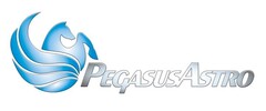 PEGASUS ASTRO