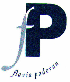 fP flavia padovan