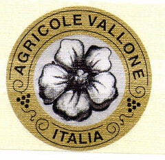 AGRICOLE VALLONE ITALIA