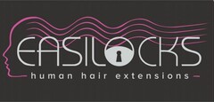 Easilocks Human Hair Extensions