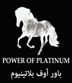 POWER OF PLATINUM