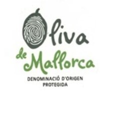 OLIVA DE MALLORCA DENOMINACIÓ D'ORIGEN PROTEGIDA