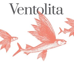 Ventolita