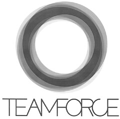 TEAMFORCE