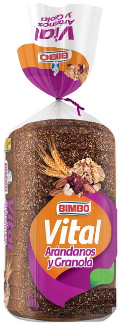 BIMBO VITAL ARÁNDANOS Y GRANOLA