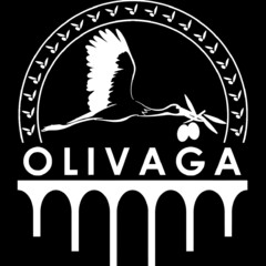 OLIVAGA