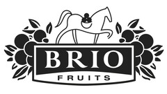 BRIO FRUITS