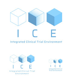 ICE Integrated Clinical Trial Environment