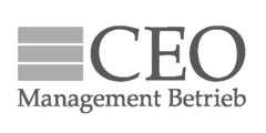CEO Management Betrieb