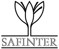 SAFINTER