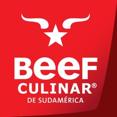 BEEF CULINAR DE SUDAMÉRICA