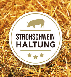 Strohschwein Haltung