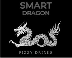 SMART DRAGON FIZZY DRINKS