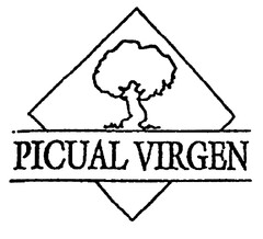 PICUAL VIRGEN