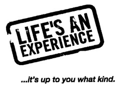LIFE'S AN EXPERIENCE ...it's up to you what kind.