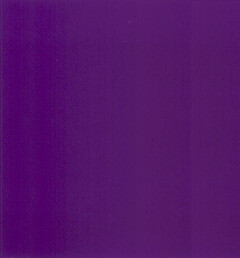 The colour purple (Pantone 2685C), as shown on the form of application, applied to the whole visible surface, or being the predominant colour applied to the whole visible surface, of the goods.