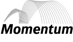 Momentum