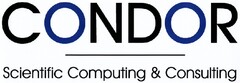 CONDOR
Scientific Computing & Consulting