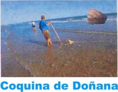 COQUINA DE DOÑANA