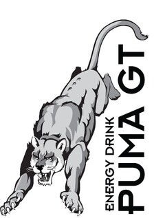 ENERGY DRINK PUMA GT