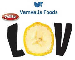 Pellito Vamvalis Foods L V