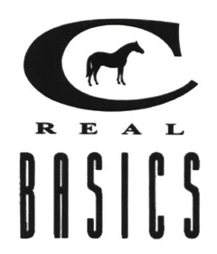 C REAL BASICS