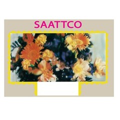 SAATTCO