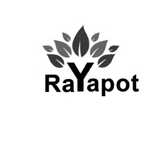 Rayapot