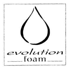 evolution foam