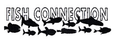 FISH CONNECTION