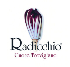 Radicchio Cuore Trevigiano