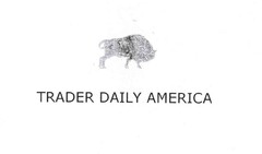 TRADER DAILY  AMERICA