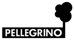 PELLEGRINO