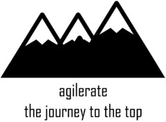 agilerate the journey to the top