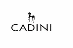 CADINI