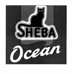 SHEBA Ocean