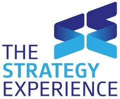 THE STRATEGY EXPERIENCE