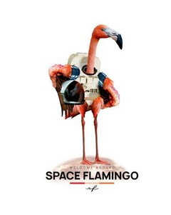 WELCOME ABOARD SPACE FLAMINGO