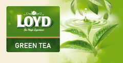 LOYD The Magic Experience GREEN TEA