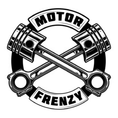 MOTOR FRENZY