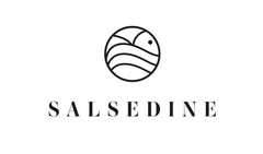 SALSEDINE