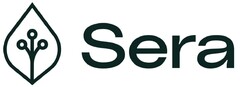 Sera