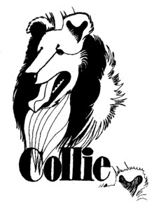 Collie