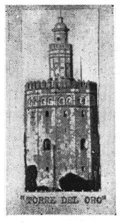 "TORRE DEL ORO"