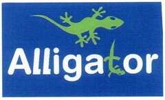 Alligator