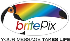 britePix YOUR MESSAGE TAKES LIFE