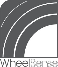 WheelSense