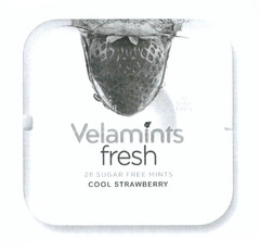 Velamints fresh 28 SUGAR FREE MINTS COOL STRAWBERRY